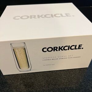Corkcicle stemless glass set